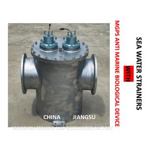 MODEL: AS350 CB / T497-2012 SEAWATER FILTER BODY - CARBON STEEL GALVANIZED