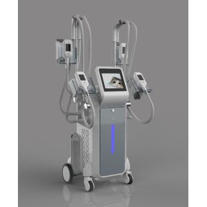 Quality cryolipolysis fat freeze slimming machine cryolipolysis freeze sculptor for sale