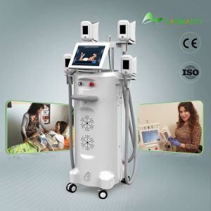 2018 Newest Cryolipo Beauty Salon Equipment / Fat Freezing Beauty Salon