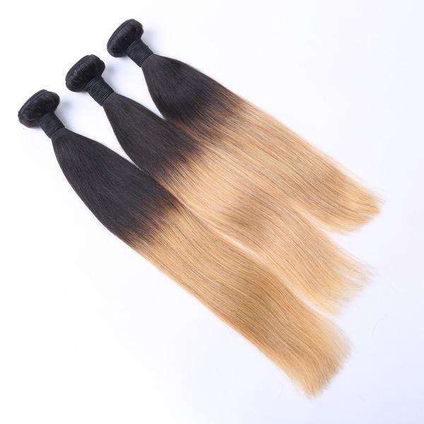 8-30 Inches Human Hair Extension Ombre Color Silky Straight Brazilian Hair Weft