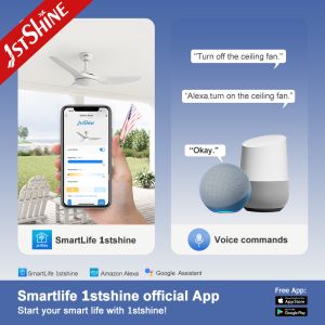 3 ABS Plastic Blades DCF-FS52920 DC Motor Ceiling Fan Natural Wind