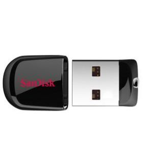 Promotional Flash Drives ，SanDisk CZ33 4G