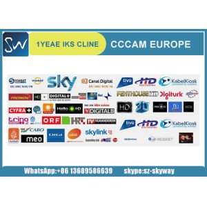 Quality 19.2 E cccam cline account/iks line cccam account for Europe decoder/ cline Cccam for sale