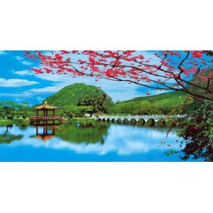 PLASTIC LENTICULAR 3d lenticular Clouds landscape paintings wholesale lenticular