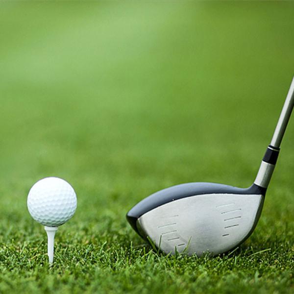 Green Golf Artificial Turf Dtex 6000 15mm Artificial Grass With Curved Fiber For Sports And Gardens