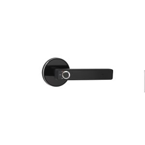 Semiconductor Fingerprint Biological Discern Black Door Handle Lock