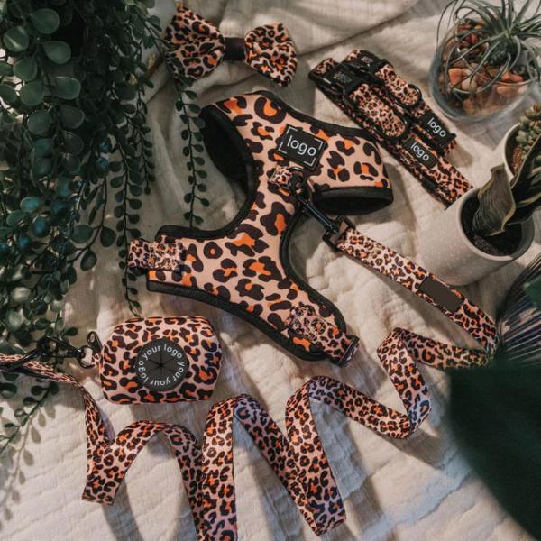 Buy Pet Dog Harness Leash And Collar Set No Pull Neoprene Mesh Soft Dog Vest For Pet Walking And Running at wholesale prices