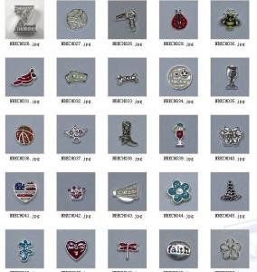Quality Fashion Charms for Floating Charm Living Locket Collection 2 for sale