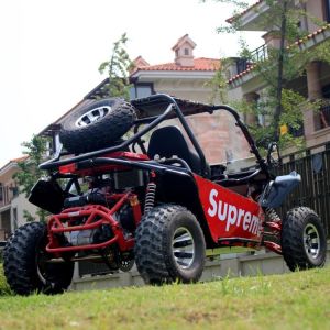 200cc Two Seater Go Kart Single Cylinder / Automatic Go Kart With Reverse