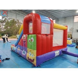 Commercial Inflatable Bug Bouncy House With Slide Inflatable Inflatable Castle