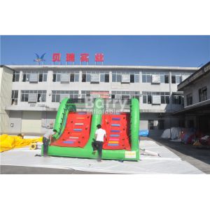 Promotion Children Toy Inflatable Snake Slide With Stair Behind