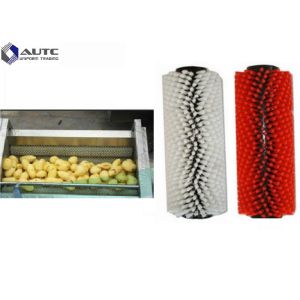 China Potato Cylindrical Roller Brush Washing Food Grade Stainless Steel OEM on sale