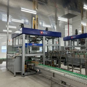 CE ISO Certified Automatic Wrap Around Case Packer with Schneider Electrics for Stable Performance in Carton Packaging
