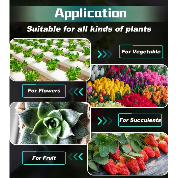 100W Switch Control LED Quantum Board Aluminium Alloy LED Growth Light