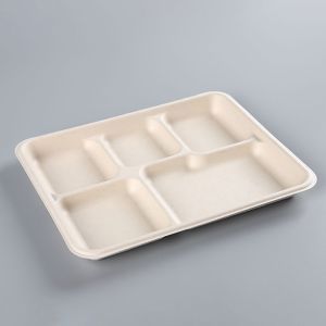 biodegradable tableware Rectangle 5 division meal snack Tray