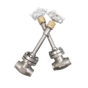 Stainless Steel 304 CF8 DN20 Low Temperature Globe Valve