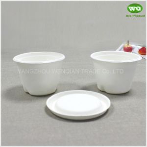 100% Biodegradable 2oz Sugarcane Containers With Lids -Biodegradable Bagasse