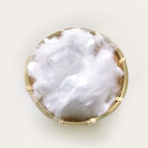 Eco Friendly Low Melt Polyester Staple Fiber for Sustainable Manufacturing