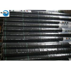 Agriculture Polypropylene/Polyethylene Woven Geotextile Fabric for Ground Cover