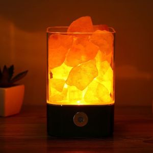 Himalayan Salt Lamp Night Light