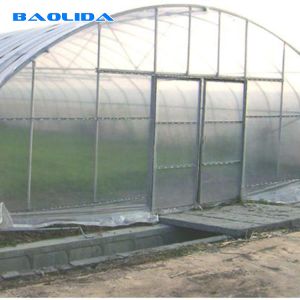 Single Span Plastic Tunnel Greenhouses Polyethylene Film Greenhouse For