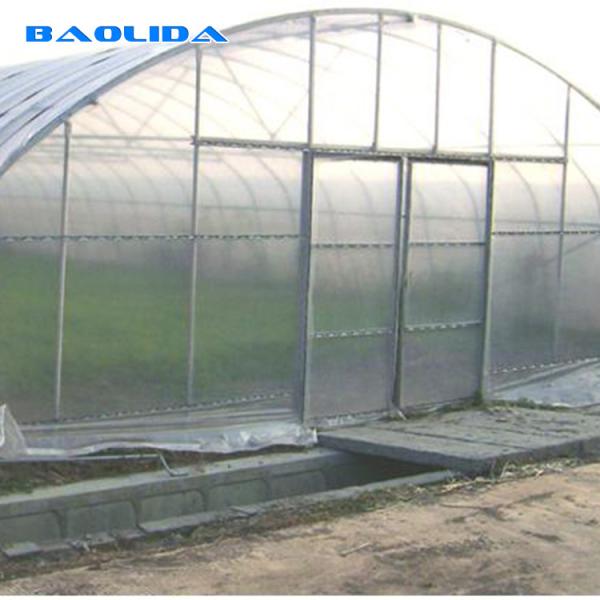 Buy Single Span High Tunnel Plastic Greenhouse With Roof Ventilation System at wholesale prices