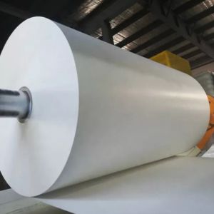 Flexographic Print PE Coated Cup Paper Cup Raw Material