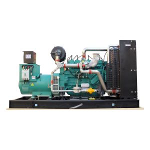 300KW 375kva Natural Gas Generator with 180A Rated Current and 50HZ/60HZ