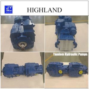 Tandem Piston Pump for High-Performance Hydraulic Components
