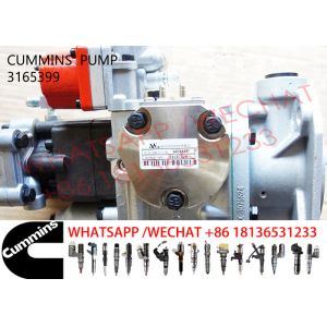3165399 Cummins NTA855 3165355 3165400 Diesel Engine Fuel Pump