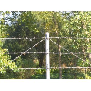 China reliable wholesale professinal factory barbed wire