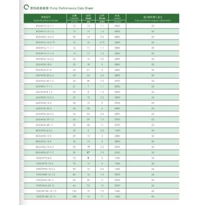 East Gw Type Vertical Pipeline Non-Blockage Sewage Pump