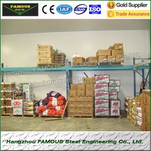 Durable Modular Cold Room Panel Insulation Food Processing Plant