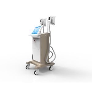 2018 latest cryolipolysis slimming machine zeltiq fat freezing machine weight