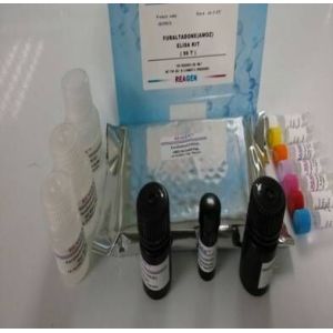 Drug Residue Test Kit High Sensitivity 0.02 Ng/G Gentamicin ELISA Test Kit
