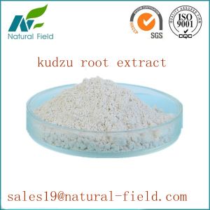 Best selling natural puerarin