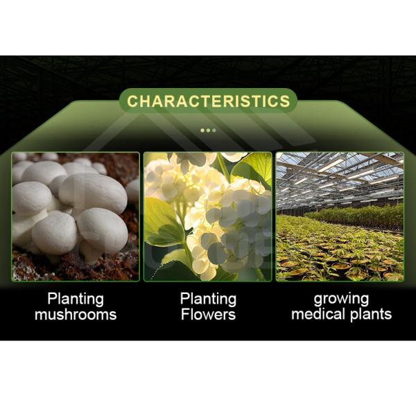 Mushroom Light Deprivation Greenhouse With Hot Dip Galvanized Steel Pipe