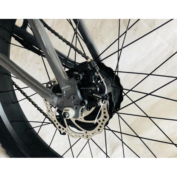 26" 1000W Bafang Rear Motor Fat Tire Electric Cargo Beach Cruiser Bike with 48V 21AH Lithium Battery