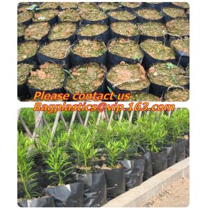 vegetables, fruits, seeds, bedding plants, tomatoes, peppers, cucumbers, tree