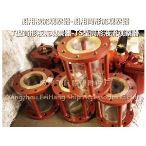 Flight T, TS type of cylindrical liquid flow observer, the observation hole