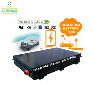 Electric Car Lithium Ion NMC Battery Pack 300v 400v 25ah 30ah 48ah For Electric