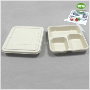 Biodegradable Sugarcane Pulp 3-Coms Square Disposable Lunch Tray With Lid-100%