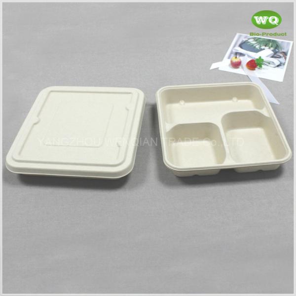Biodegradable Sugarcane Pulp 3-Coms Square Disposable Lunch Tray With Lid-100%