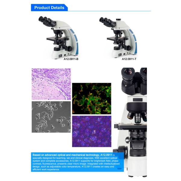 OPTO-EDU A12.0911 50mm Binocular Biological Microscope