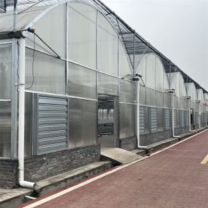 Strong Structure Heavy Duty Plastic Greenhouse / Plastic Tomato Greenhouse