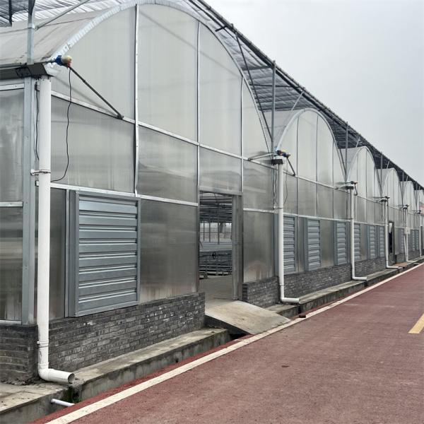 Buy Strong Structure Heavy Duty Plastic Greenhouse / Plastic Tomato Greenhouse at wholesale prices