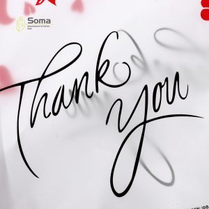 HDPE Custom Die Cut Handle Printed Plastic Bag