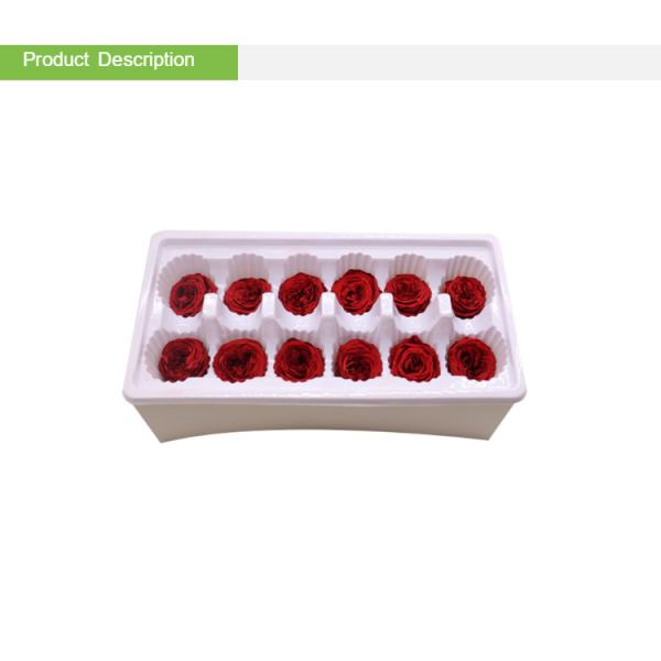 Valentines Wedding Preserved Fresh Flower Ladies Gift Drying Out Flowers