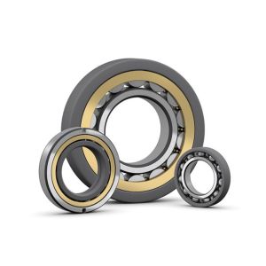 Single Row Cylindrical Roller Bearing NJ205 With Brass Cage