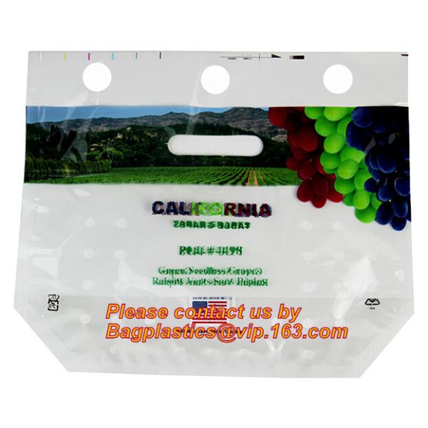 printed zip lock plastic cherry bags fruit bag, Fruit cherry/grape bag, fruits / cherries special vent holes packaging p